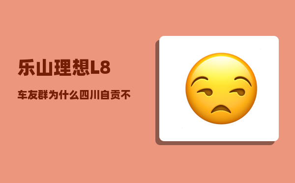 乐山理想L8车友群_为什么四川自贡不怎么下雪-图1