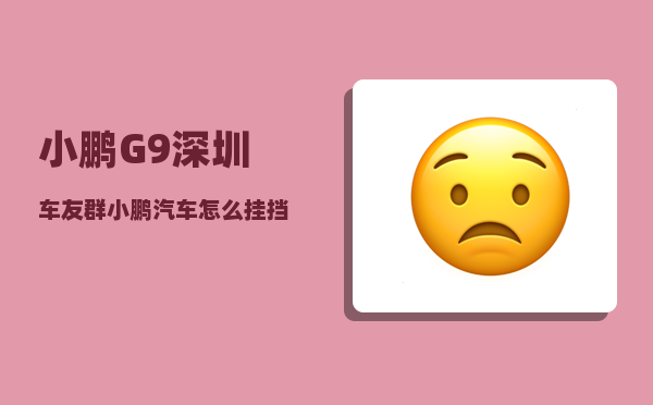 小鹏G9深圳车友群_小鹏汽车怎么挂挡起步-图1