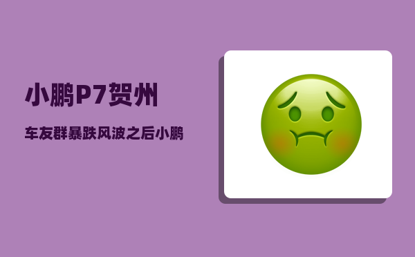 小鹏P7贺州车友群_暴跌风波之后小鹏调整了什么-图1