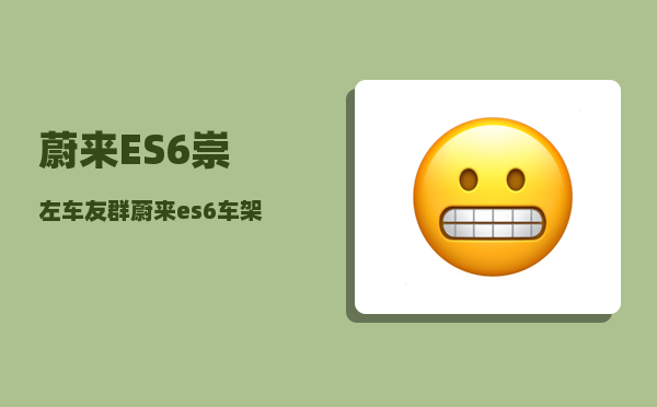 蔚来ES6崇左车友群_蔚来es6车架号出来后多久提车-图1