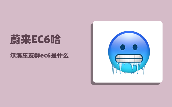 蔚来EC6哈尔滨车友群_ec6是什么车-图1