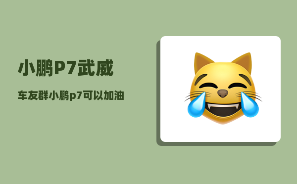 小鹏P7武威车友群_小鹏p7可以加油吗-图1