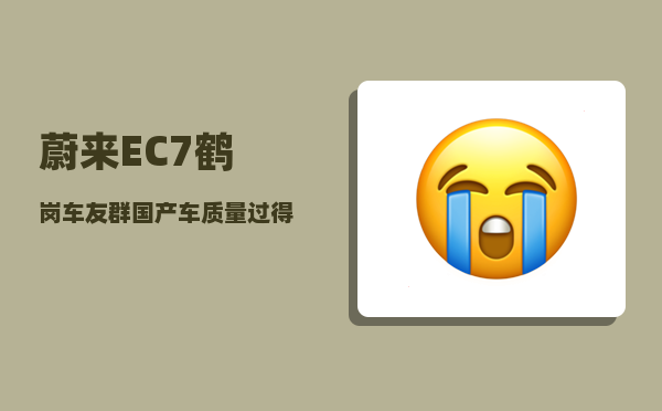 蔚来EC7鹤岗车友群_国产车质量过得去的有影响力的是否就这五款-图1