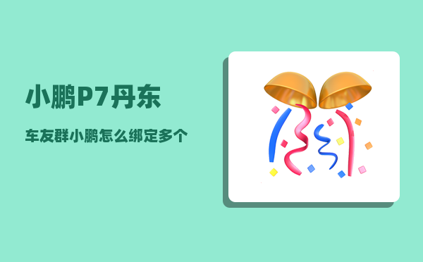小鹏P7丹东车友群_小鹏怎么绑定多个车主-图1