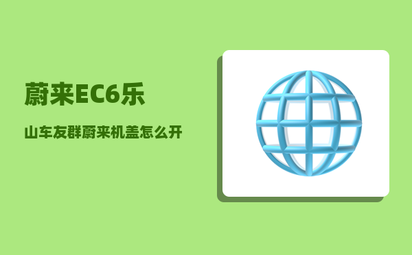 蔚来EC6乐山车友群_蔚来机盖怎么开-图1