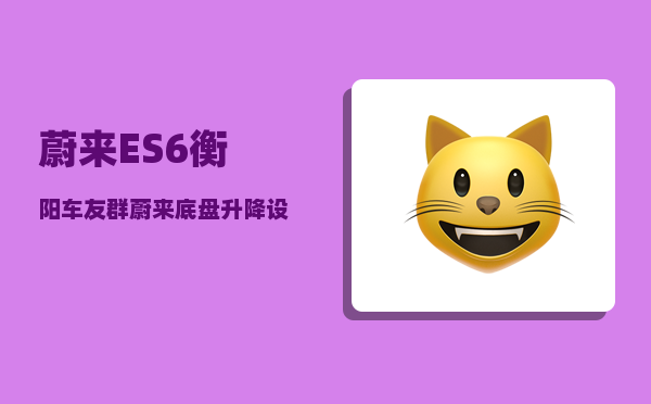 蔚来ES6衡阳车友群_蔚来底盘升降设置-图1
