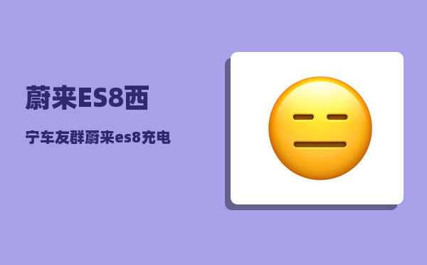 蔚来ES8西宁车友群_蔚来es8充电结束怎么显示90-图1