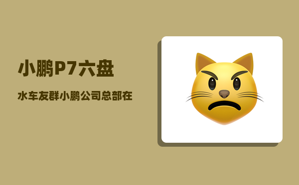 小鹏P7六盘水车友群_小鹏公司总部在广州哪里-图1