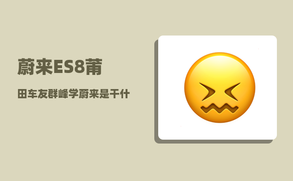 蔚来ES8莆田车友群_峰学蔚来是干什么的-图1