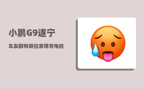 小鹏G9遂宁车友群_特斯拉家用充电桩能给小鹏充吗-图1