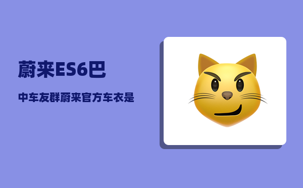 蔚来ES6巴中车友群_蔚来官方车衣是什么牌子的-图1
