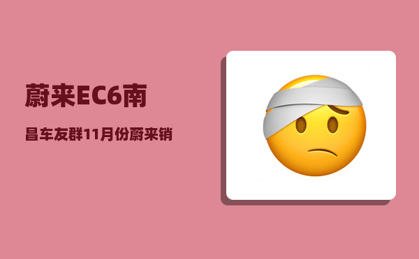 蔚来EC6南昌车友群_11月份蔚来销量-图1