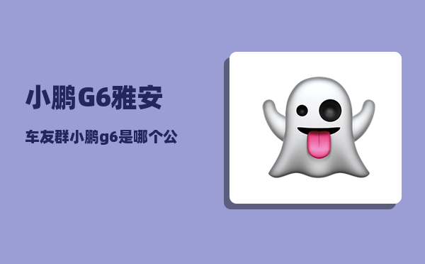 小鹏G6雅安车友群_小鹏g6是哪个公司-图1