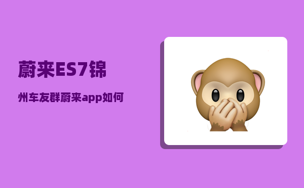 蔚来ES7锦州车友群_蔚来app如何查看行车轨迹-图1