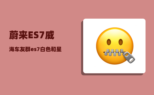 蔚来ES7威海车友群_es7白色和星灰怎么选-图1