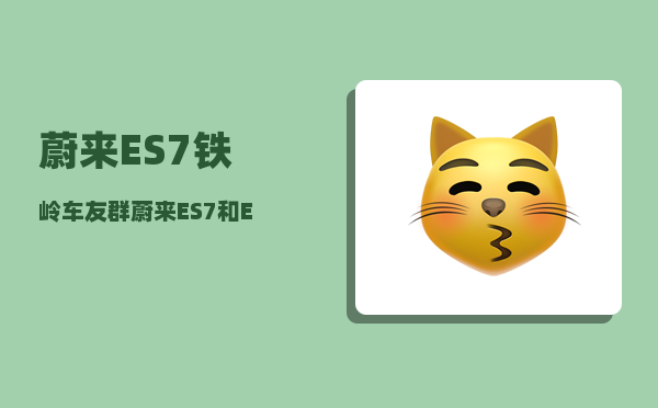 蔚来ES7铁岭车友群_蔚来ES7和EC7怎么选-图1
