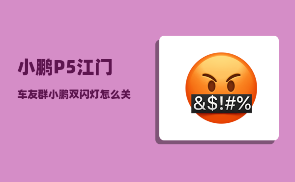 小鹏P5江门车友群_小鹏双闪灯怎么关-图1