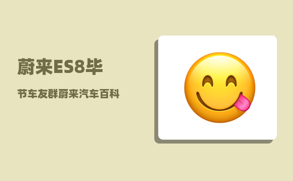 蔚来ES8毕节车友群_蔚来汽车百科-图1