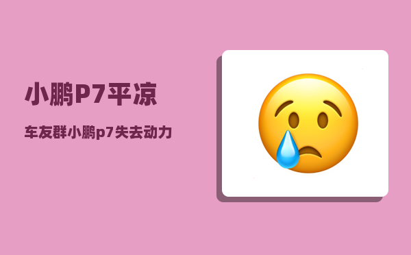 小鹏P7平凉车友群_小鹏p7失去动力是什么原因-图1