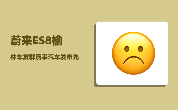 蔚来ES8榆林车友群_蔚来汽车发布先后顺序-图1