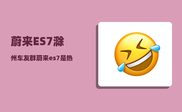 蔚来ES7滁州车友群_蔚来es7是热泵空调吗-图1