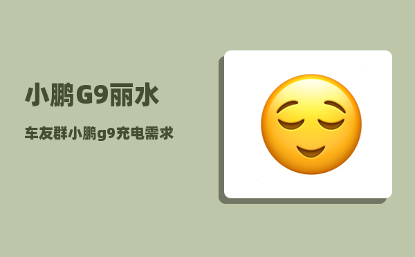 小鹏G9丽水车友群_小鹏g9充电需求电压-图1