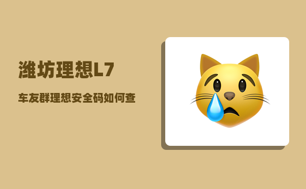 潍坊理想L7车友群_理想安全码如何查询-图1