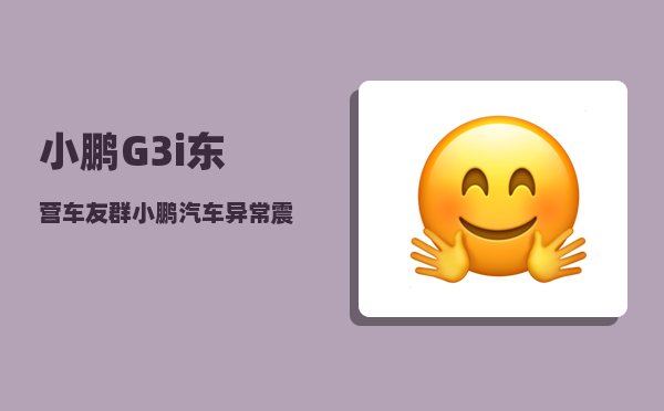 小鹏G3i东营车友群_小鹏汽车异常震动-图1