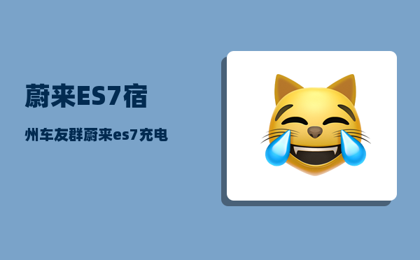 蔚来ES7宿州车友群_蔚来es7充电功率-图1