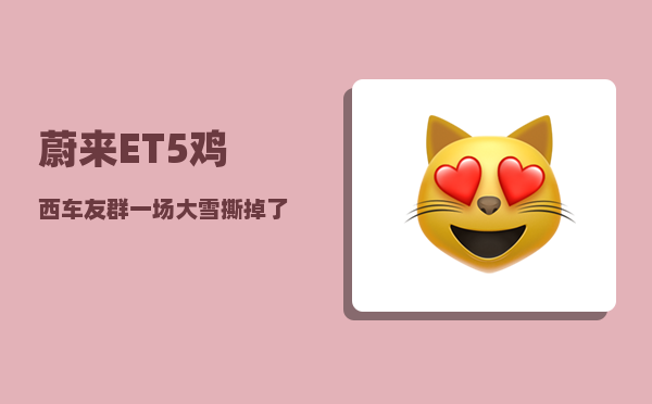 蔚来ET5鸡西车友群_一场大雪撕掉了新能源车的遮羞布-图1