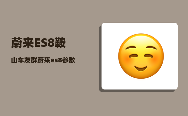 蔚来ES8鞍山车友群_蔚来es8参数-图1