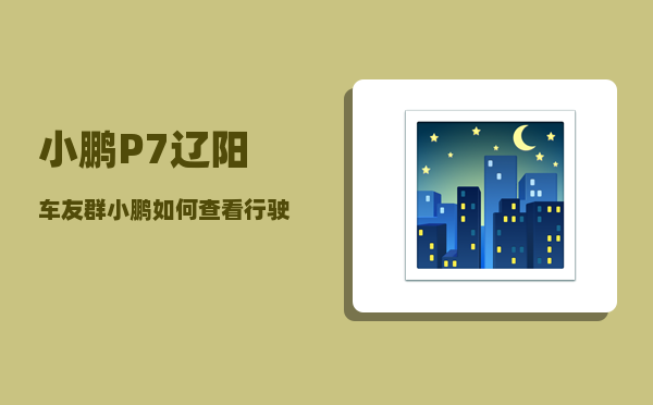 小鹏P7辽阳车友群_小鹏如何查看行驶公里数-图1