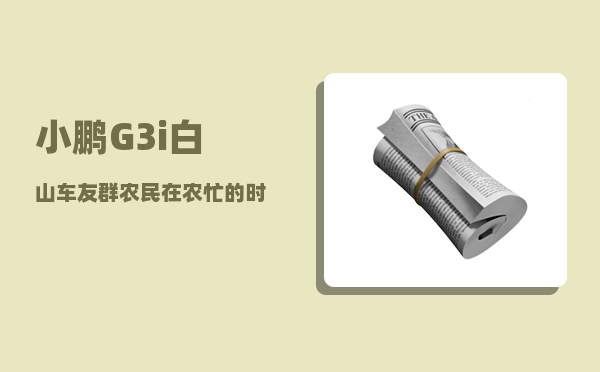 小鹏G3i白山车友群_农民在农忙的时候中午不回家在地里能吃啥-图1
