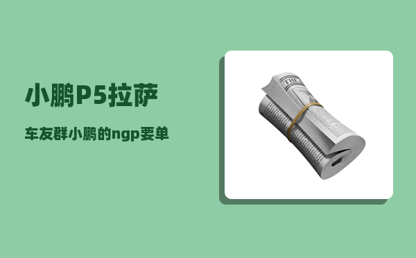 小鹏P5拉萨车友群_小鹏的ngp要单独购买吗-图1