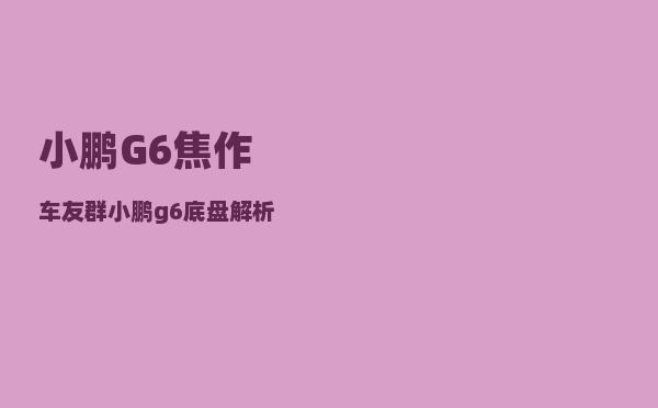 小鹏G6焦作车友群_小鹏g6底盘解析-图1