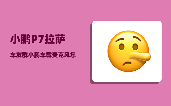 小鹏P7拉萨车友群_小鹏车载麦克风怎么连接-图1
