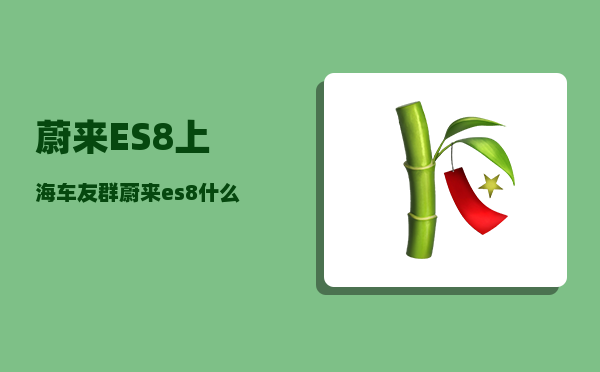 蔚来ES8上海车友群_蔚来es8什么时候全新换代-图1