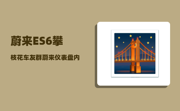 蔚来ES6攀枝花车友群_蔚来仪表盘内容怎么切换-图1
