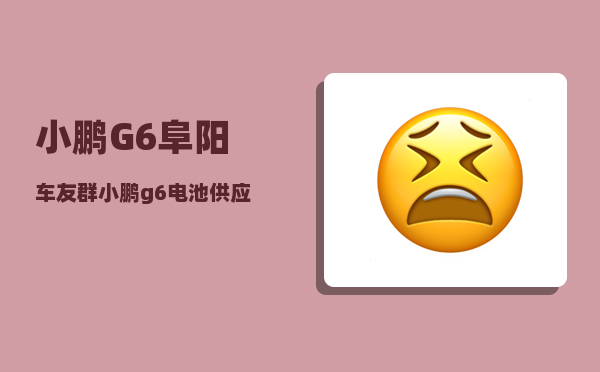 小鹏G6阜阳车友群_小鹏g6电池供应商-图1
