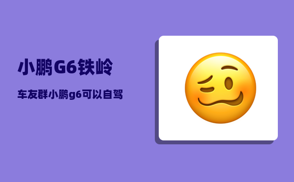 小鹏G6铁岭车友群_小鹏g6的电控系统是哪家-图1