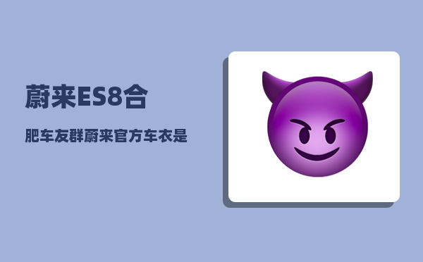 蔚来ES8合肥车友群_蔚来官方车衣是什么牌子的-图1