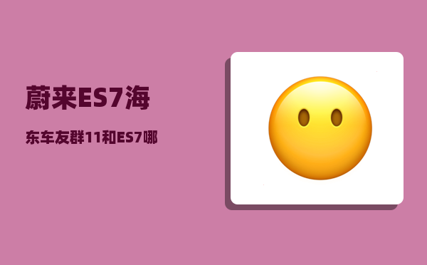 蔚来ES7海东车友群_11和ES7哪个配置好-图1