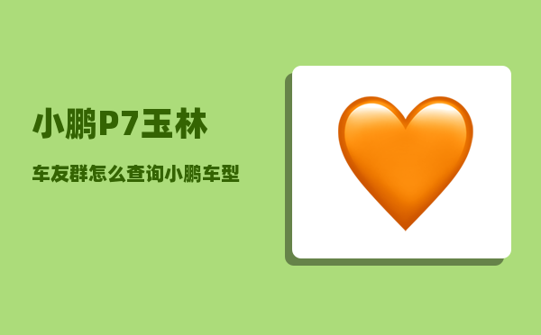 小鹏P7玉林车友群_怎么查询小鹏车型号-图1