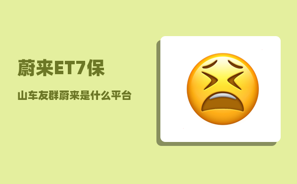 蔚来ET7保山车友群_蔚来是什么平台-图1