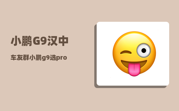 小鹏G9汉中车友群_小鹏g9选pro还是max-图1