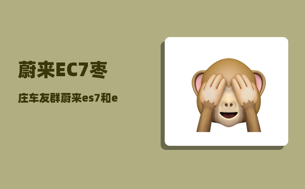 蔚来EC7枣庄车友群_蔚来es7和ec7哪个值得购买-图1