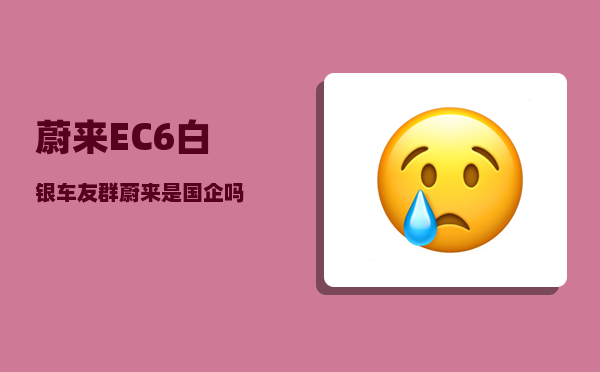 蔚来EC6白银车友群_蔚来是国企吗-图1