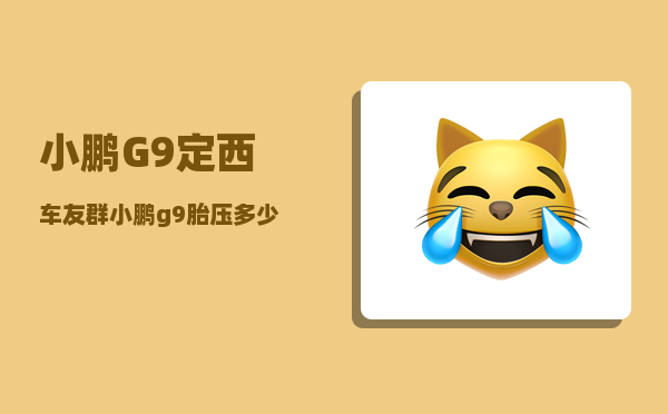小鹏G9定西车友群_小鹏g9胎压多少-图1