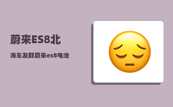 蔚来ES8北海车友群_蔚来es8电池哪家的-图1