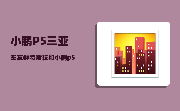 小鹏P5三亚车友群_特斯拉和小鹏p5哪个值得购买-图1